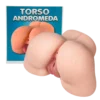 Torso Femenino Realista Vagina y Ano Andromeda