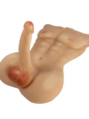 Torso masculino para mujeres y hombres